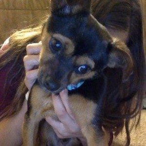 Meet your Posher, Allison